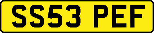 SS53PEF