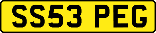 SS53PEG