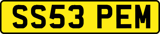 SS53PEM