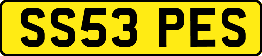 SS53PES