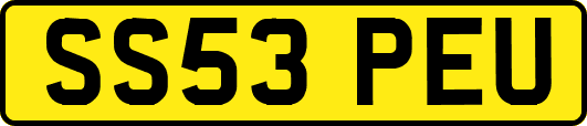 SS53PEU