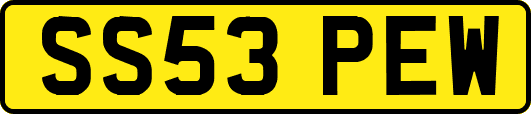 SS53PEW