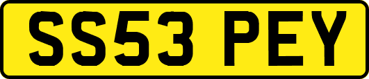 SS53PEY