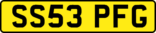 SS53PFG