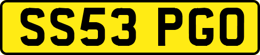 SS53PGO