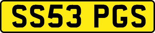 SS53PGS