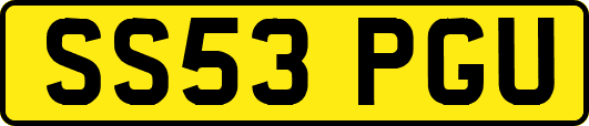 SS53PGU
