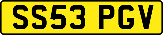 SS53PGV