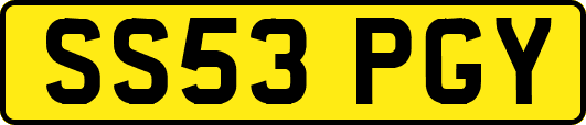 SS53PGY