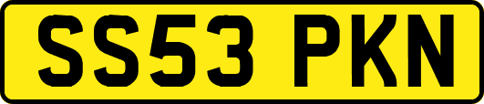 SS53PKN