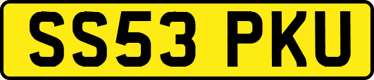 SS53PKU