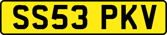 SS53PKV
