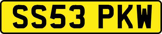 SS53PKW