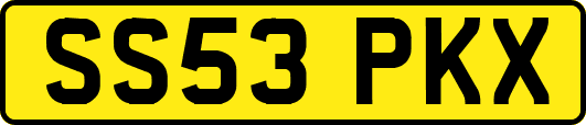 SS53PKX