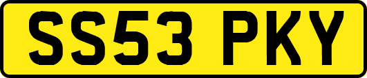 SS53PKY