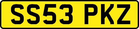 SS53PKZ