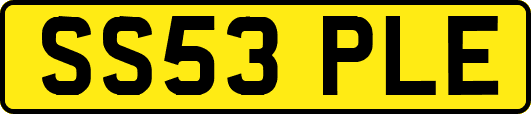 SS53PLE