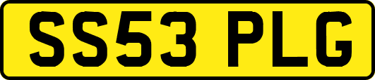 SS53PLG