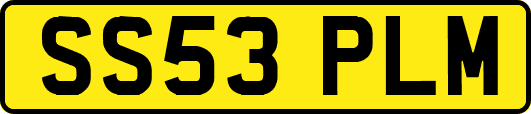 SS53PLM