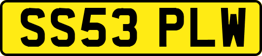 SS53PLW