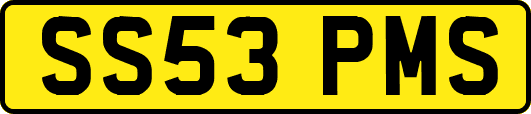 SS53PMS