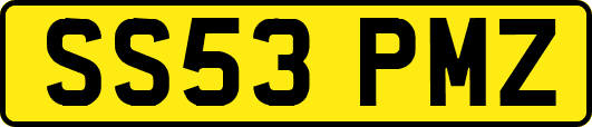 SS53PMZ