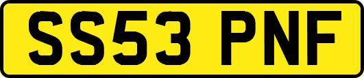 SS53PNF