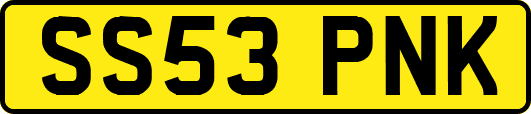 SS53PNK