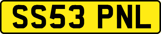 SS53PNL