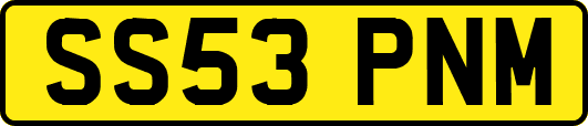 SS53PNM