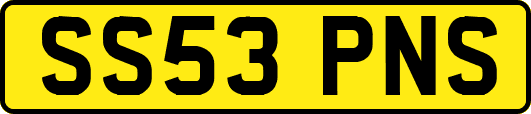 SS53PNS