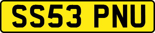 SS53PNU