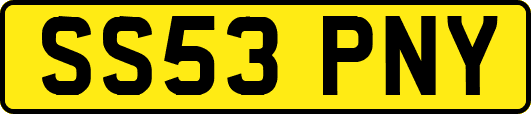 SS53PNY