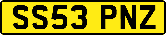 SS53PNZ
