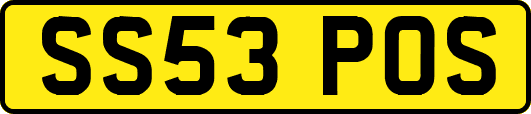 SS53POS
