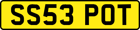 SS53POT