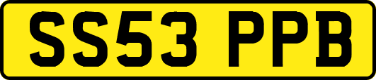 SS53PPB