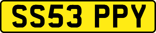 SS53PPY