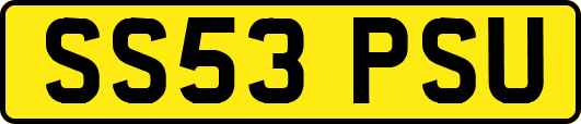 SS53PSU