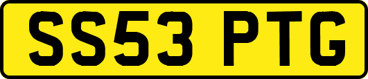 SS53PTG