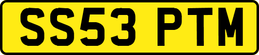 SS53PTM