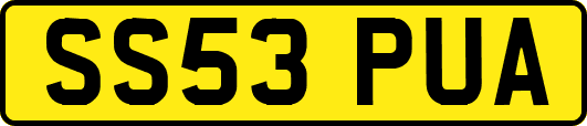 SS53PUA