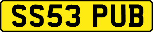 SS53PUB