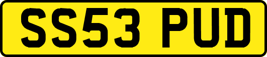 SS53PUD