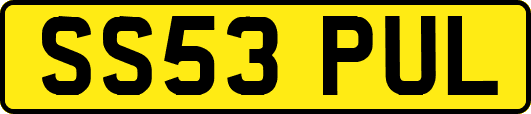 SS53PUL
