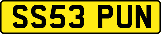 SS53PUN