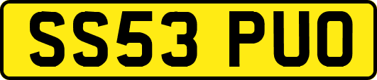 SS53PUO