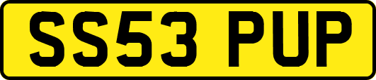 SS53PUP