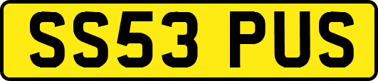 SS53PUS