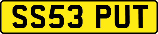 SS53PUT
